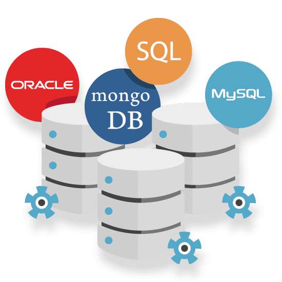 Data Base Development & Management